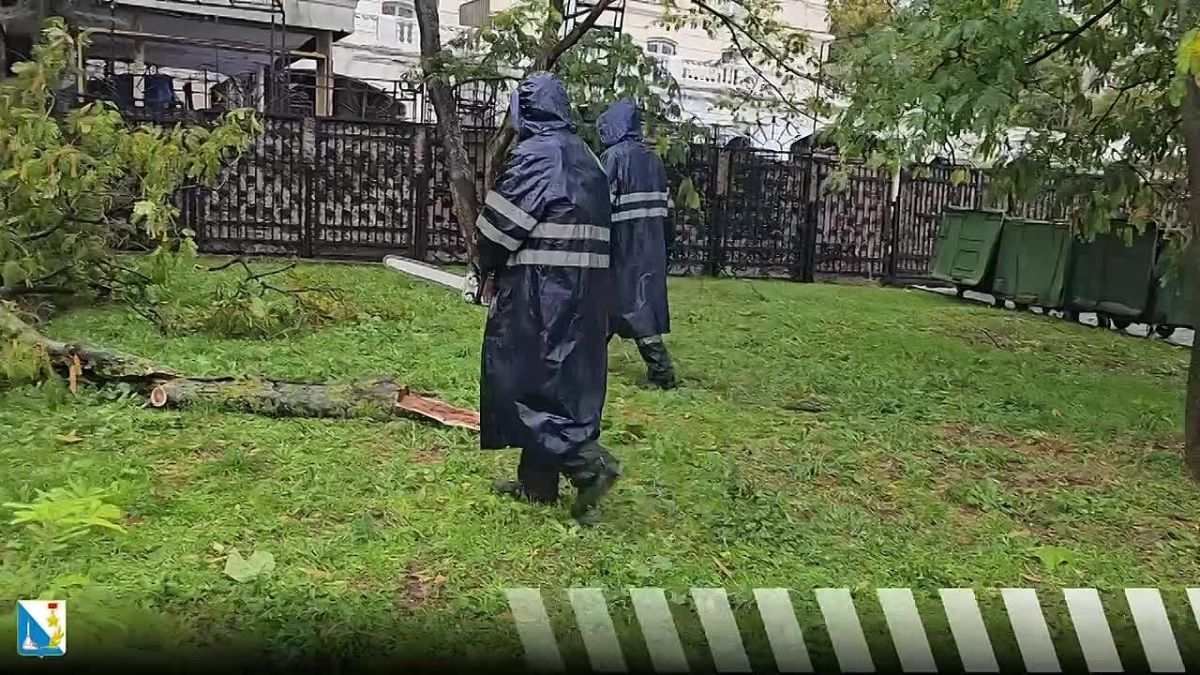 Пока в пять утра большинство из нас ещё спало, коммунальные и дорожные службы уже работали на улицах города