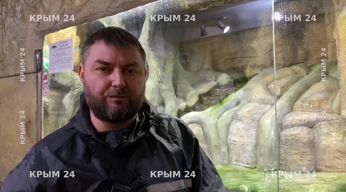 Подтопление в Ялтинском крокодиляриуме ухудшает условия для животных