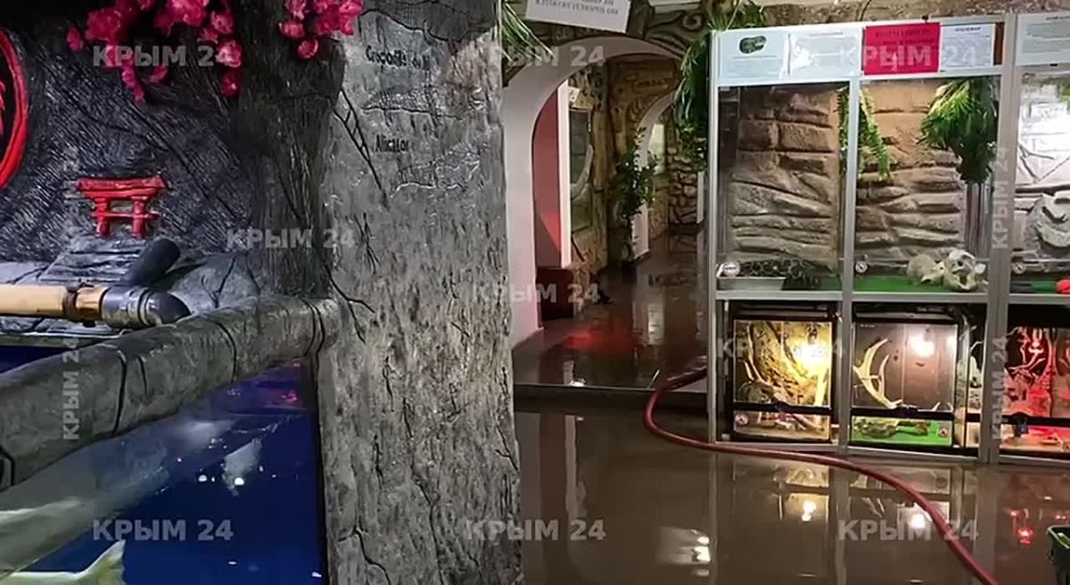 Девять насосов и помпа: В Ялтинском крокодиляриуме вторые сутки борются с подтоплением