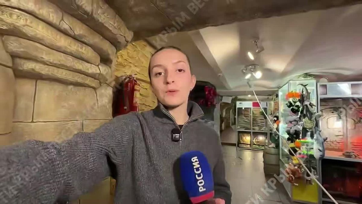В Ялте откачали воду из подтопленного из-за непогоды крокодиляриума