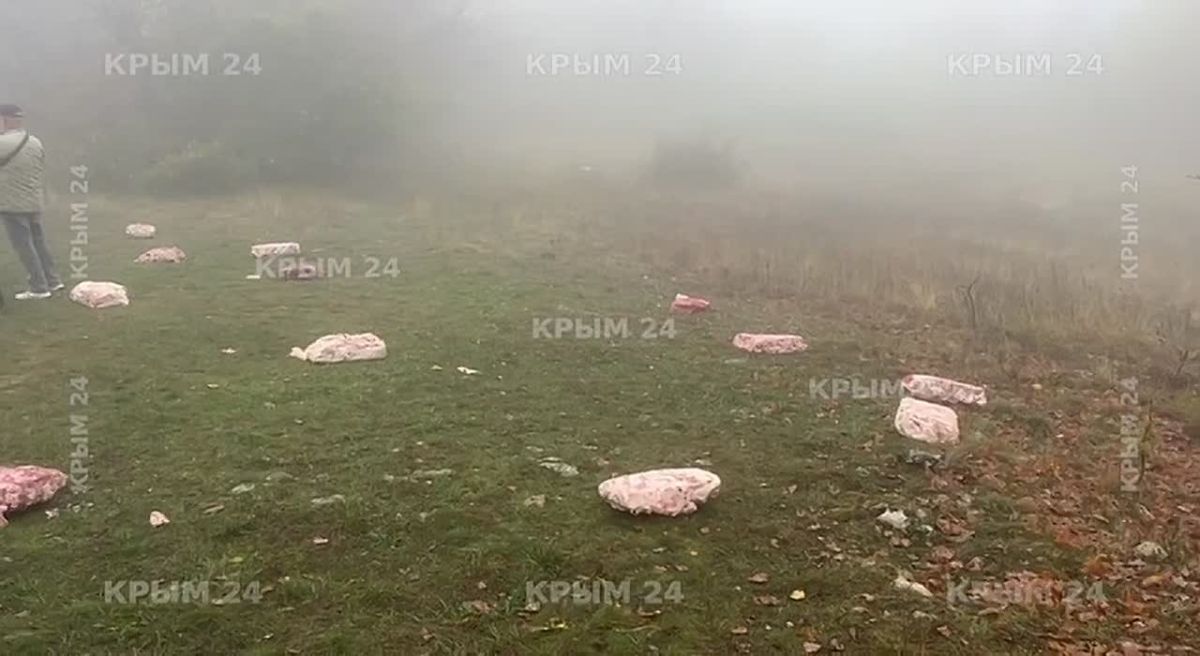 На горе Чатыр-Даг прошла последняя в этом году подкормка краснокнижных грифов и сипов