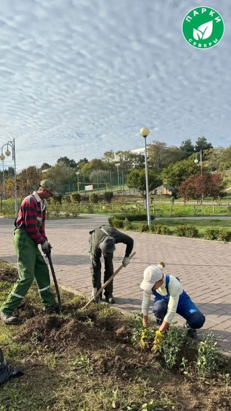 В парке имени Анны Ахматовой и сквере Генерала Жидилова оформили зелёные зоны В парке имени Анны Ахматовой и сквере Генерала Жидилова оформили зелёные зоны