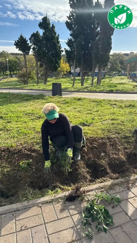 В парке имени Анны Ахматовой и сквере Генерала Жидилова оформили зелёные зоны В парке имени Анны Ахматовой и сквере Генерала Жидилова оформили зелёные зоны