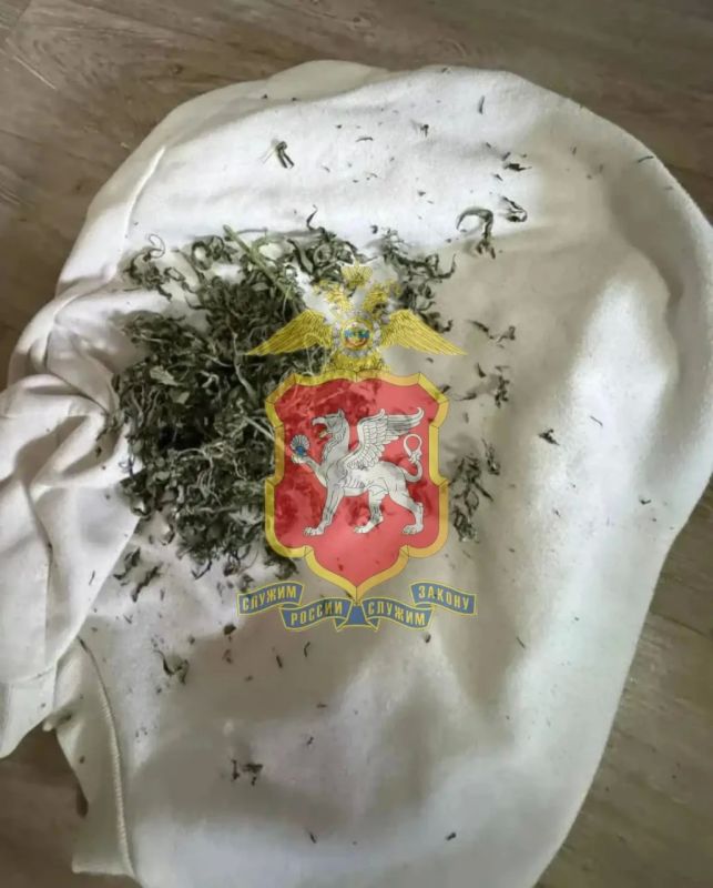 В Феодосии у местного жителя изъяли более 143 граммов марихуаны: наркотик нашли в спальном мешке и в пледе