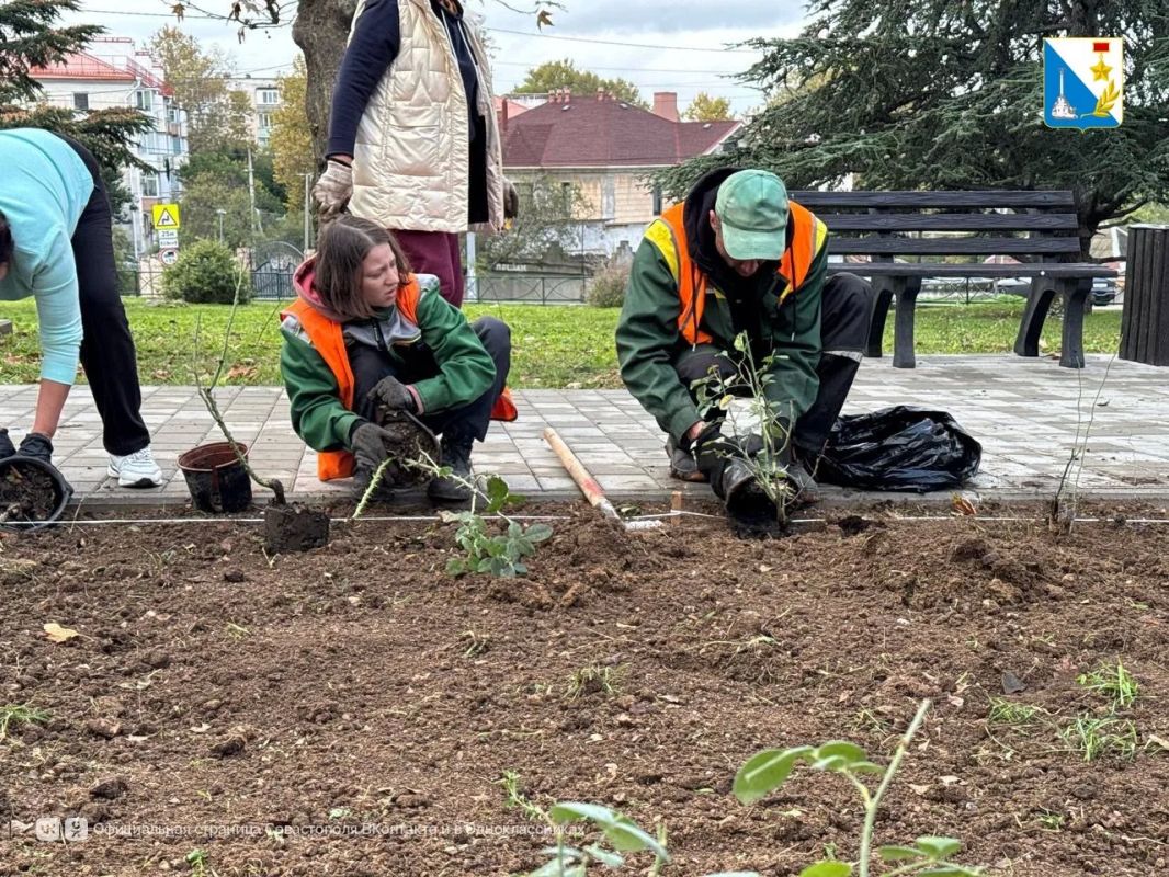 В сквере на Генерала Жидилова высадили более 130 растений В сквере на Генерала Жидилова высадили более 130 растений