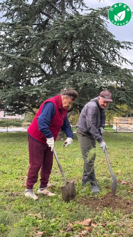 В парке имени Анны Ахматовой и сквере Генерала Жидилова оформили зелёные зоны В парке имени Анны Ахматовой и сквере Генерала Жидилова оформили зелёные зоны