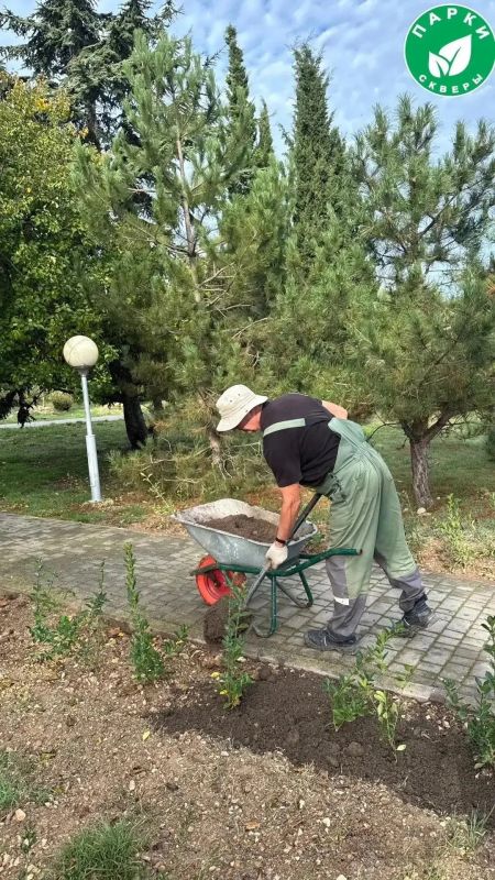 В парке имени Анны Ахматовой и сквере Генерала Жидилова оформили зелёные зоны В парке имени Анны Ахматовой и сквере Генерала Жидилова оформили зелёные зоны