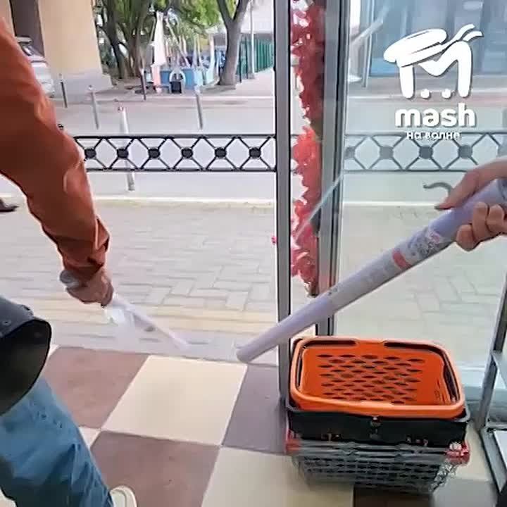 Если не знаете, как выглядит наглость, то вот она вам в птичьей форме