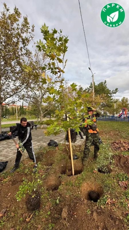 В парке имени Анны Ахматовой и сквере Генерала Жидилова оформили зелёные зоны В парке имени Анны Ахматовой и сквере Генерала Жидилова оформили зелёные зоны