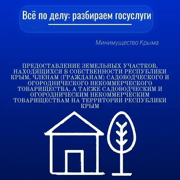 Запускаем новую рубрику: «Всё по делу: разбираем госуслуги»!
