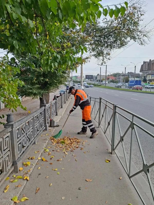 В крымской столице продолжаются сезонные работы по уборке опавшей листвы В крымской столице продолжаются сезонные работы по уборке опавшей листвы