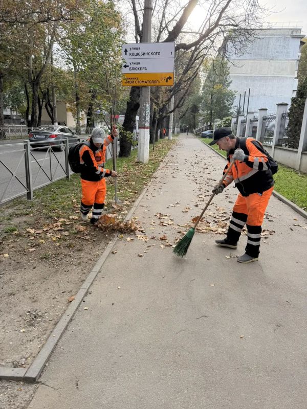 В крымской столице продолжаются сезонные работы по уборке опавшей листвы В крымской столице продолжаются сезонные работы по уборке опавшей листвы
