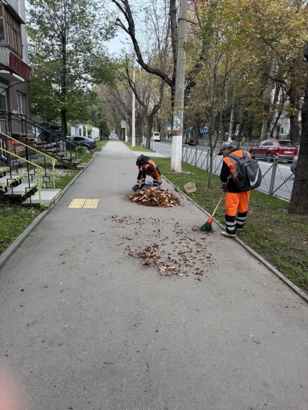 В крымской столице продолжаются сезонные работы по уборке опавшей листвы В крымской столице продолжаются сезонные работы по уборке опавшей листвы