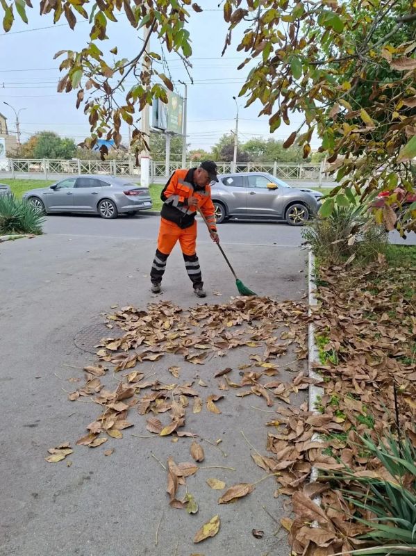 В крымской столице продолжаются сезонные работы по уборке опавшей листвы В крымской столице продолжаются сезонные работы по уборке опавшей листвы