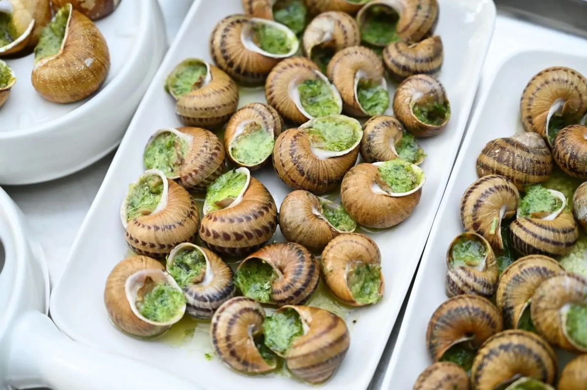 В Республике Крым знают, как вкус сделать голосом региона В Республике Крым знают, как вкус сделать голосом региона