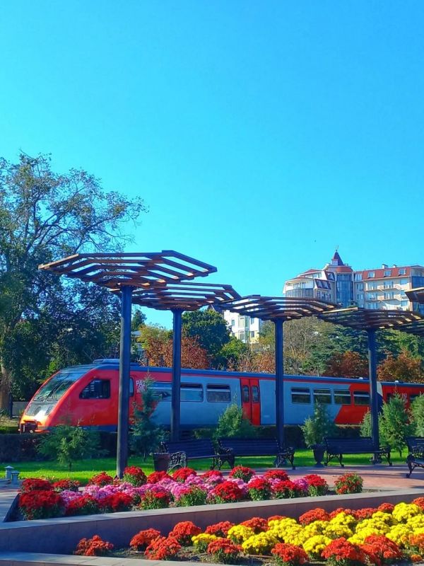 Темнота — не помеха: жительница Феодосии Светлана гуляет в любимом городе и играет в настольные игры Темнота — не помеха: жительница Феодосии Светлана гуляет в любимом городе и играет в настольные игры
