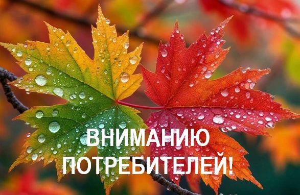 Крымэнерго: 28 октября 2026 года внесены корректировки в графики плановых отключений электроэнергии