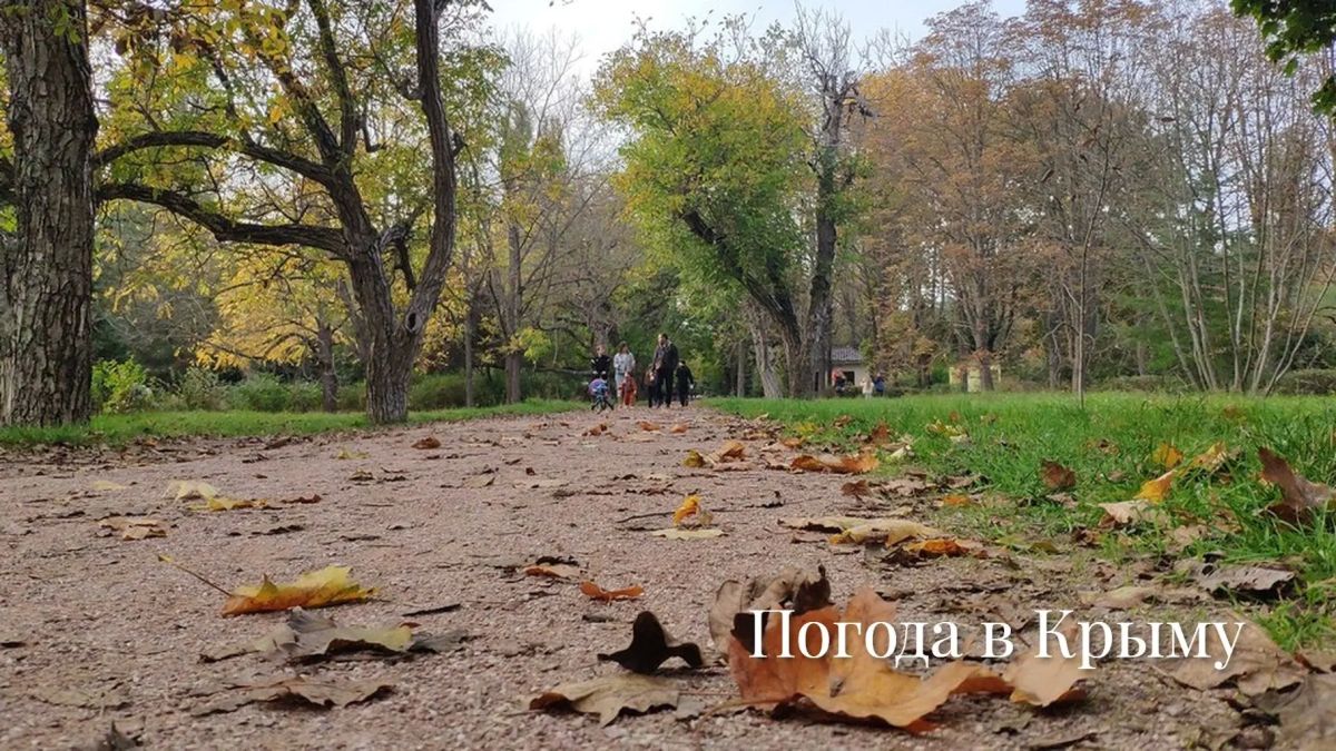 Доброе утро!. . Рассказываем, какой будет погода на полуострове 28 октября