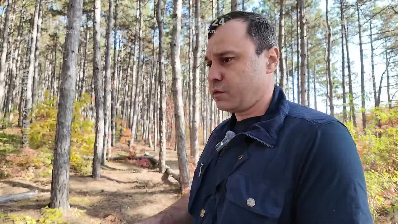 Более 21 тысячи гектаров леса обследовали в Крыму с начала года