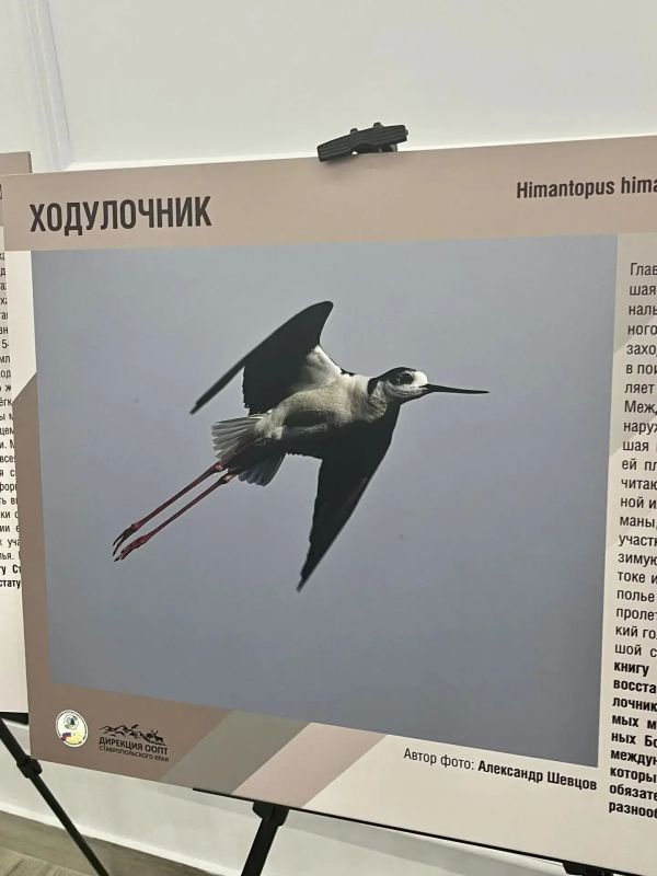 Представители Минприроды Крыма приняли участие в IV межрегиональной научно-практической конференции «Сохранение природно-заповедного наследия и охотничьих ресурсов, экологическая стратегия промышленных предприятий» в г.... Представители Минприроды Крыма приняли участие в IV межрегиональной научно-практической конференции «Сохранение природно-заповедного наследия и охотничьих ресурсов, экологическая стратегия промышленных предприятий» в г....