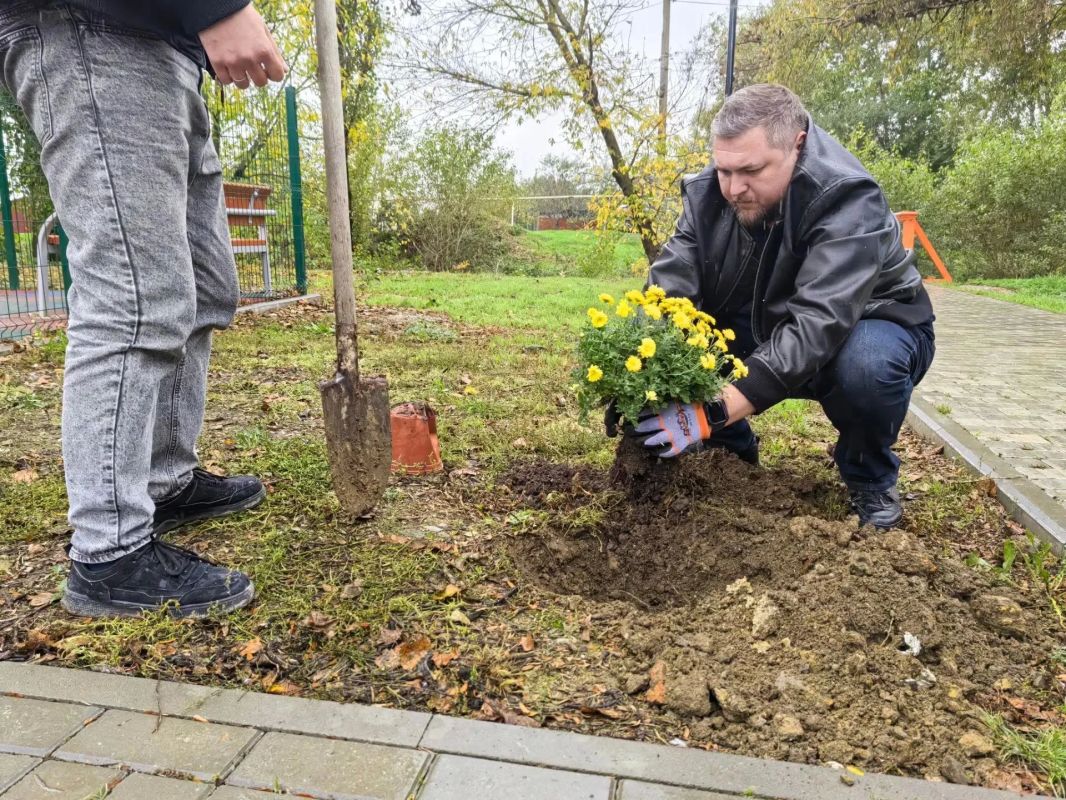 Красота двора рождается из заботы и стараний людей! Красота двора рождается из заботы и стараний людей!