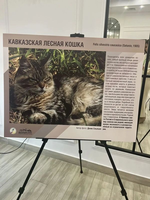 Представители Минприроды Крыма приняли участие в IV межрегиональной научно-практической конференции «Сохранение природно-заповедного наследия и охотничьих ресурсов, экологическая стратегия промышленных предприятий» в г.... Представители Минприроды Крыма приняли участие в IV межрегиональной научно-практической конференции «Сохранение природно-заповедного наследия и охотничьих ресурсов, экологическая стратегия промышленных предприятий» в г....